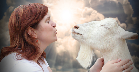 Funny picture of a young farmer woman with his goat.