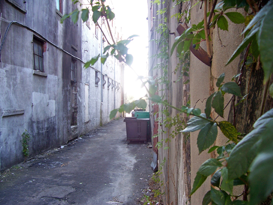 A sunny back alley on the Cape Fear River.